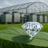 Lab Grown Diamonds a Greener Choice?
