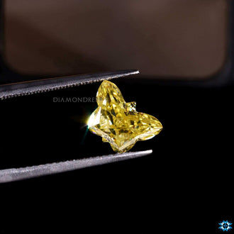 2.10 Carat Butterfly Shaped Stone from Diamondresnu.