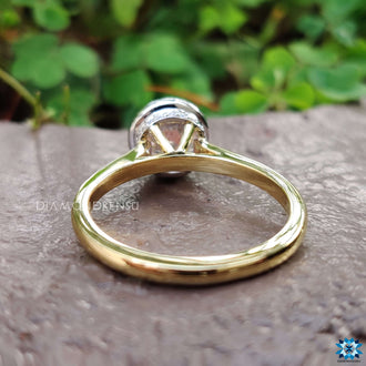 cathedral set engagement ring - diamondrensu