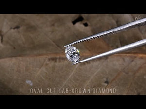 Oval cut diamond in loose diamond form.