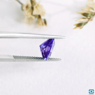 Trillion gemstone listed as loose tanzanite gemstone and december gemstone option.