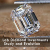 Lab Diamond Investments Study and Evaluation