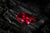 Marquise cut red diamond shown in the picture.