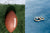 Best NFL Engagement Rings