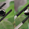 Are Black Diamond Engagement Rings the New Trend in 2026?