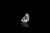 Half moon diamond close up view