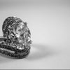 Platinum vs White Gold: Exploring Key Differences and Benefits