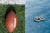 NFL ball on the left side with some special enagagement rings on right side.