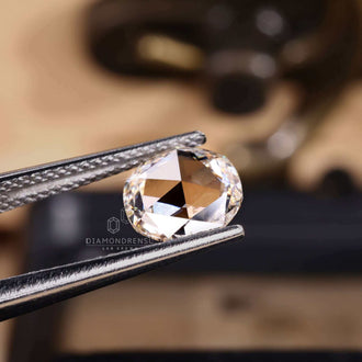 Lab grown loose diamond has a round rose shape.
