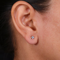 Beautiful diamond earrings perfect for women with refined taste.
