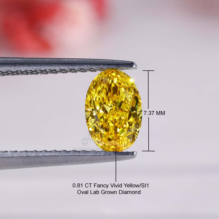 Buy loose lab grown diamonds oval diamond