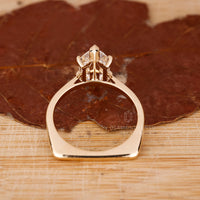 Euro shank ring crafted in yellow gold.
