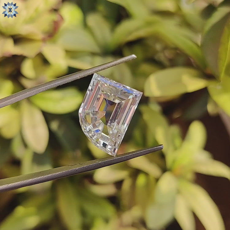 Loose moissanite featuring 6.57 carat elephant tooth cut and near colorless appearance.
