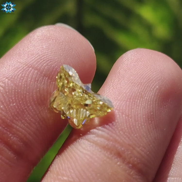 Butterfly cut yellow moissanite for custom ring or pendant.
