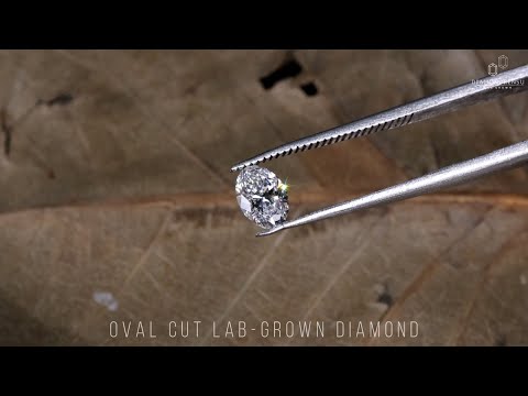 Oval cut diamond in loose diamond form.