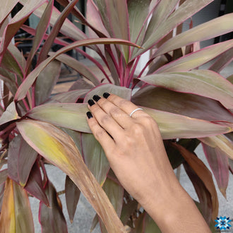 Full round wedding band in white gold with flawless craftsmanship.