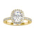 3.04 TW Cushion Cut Invisible Gallery Moissanite Halo Engagement Ring
